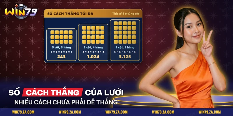 Ba lưới nhiều hàng kèm số cách thắng tối đa của từng lưới trong slot Kho báu long cung